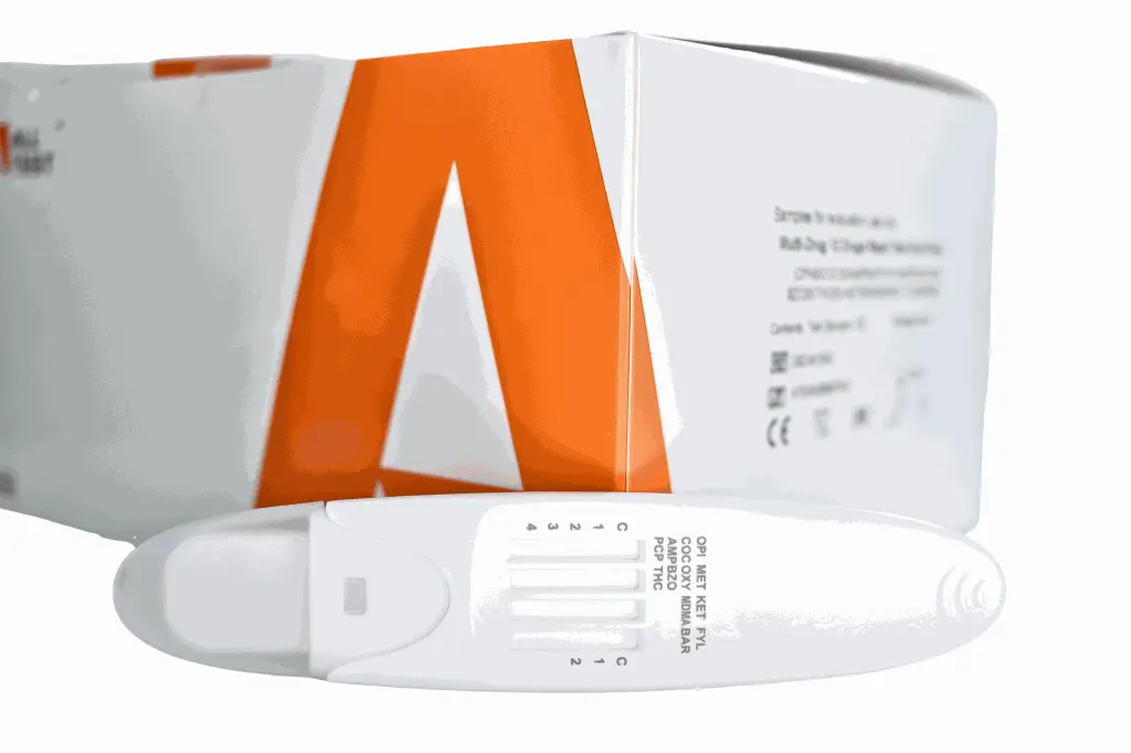 5.webp